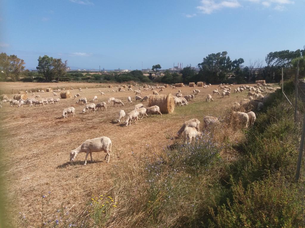 Agriturismo Margherita Villa Porto Torres Luaran gambar