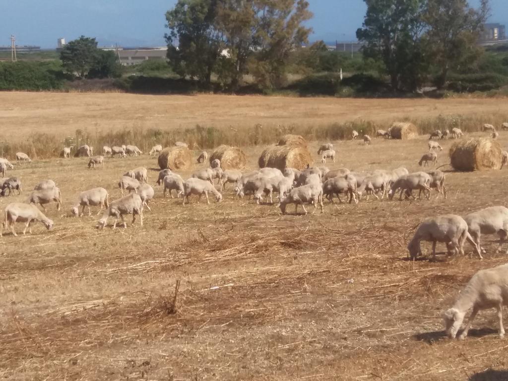 Agriturismo Margherita Villa Porto Torres Luaran gambar